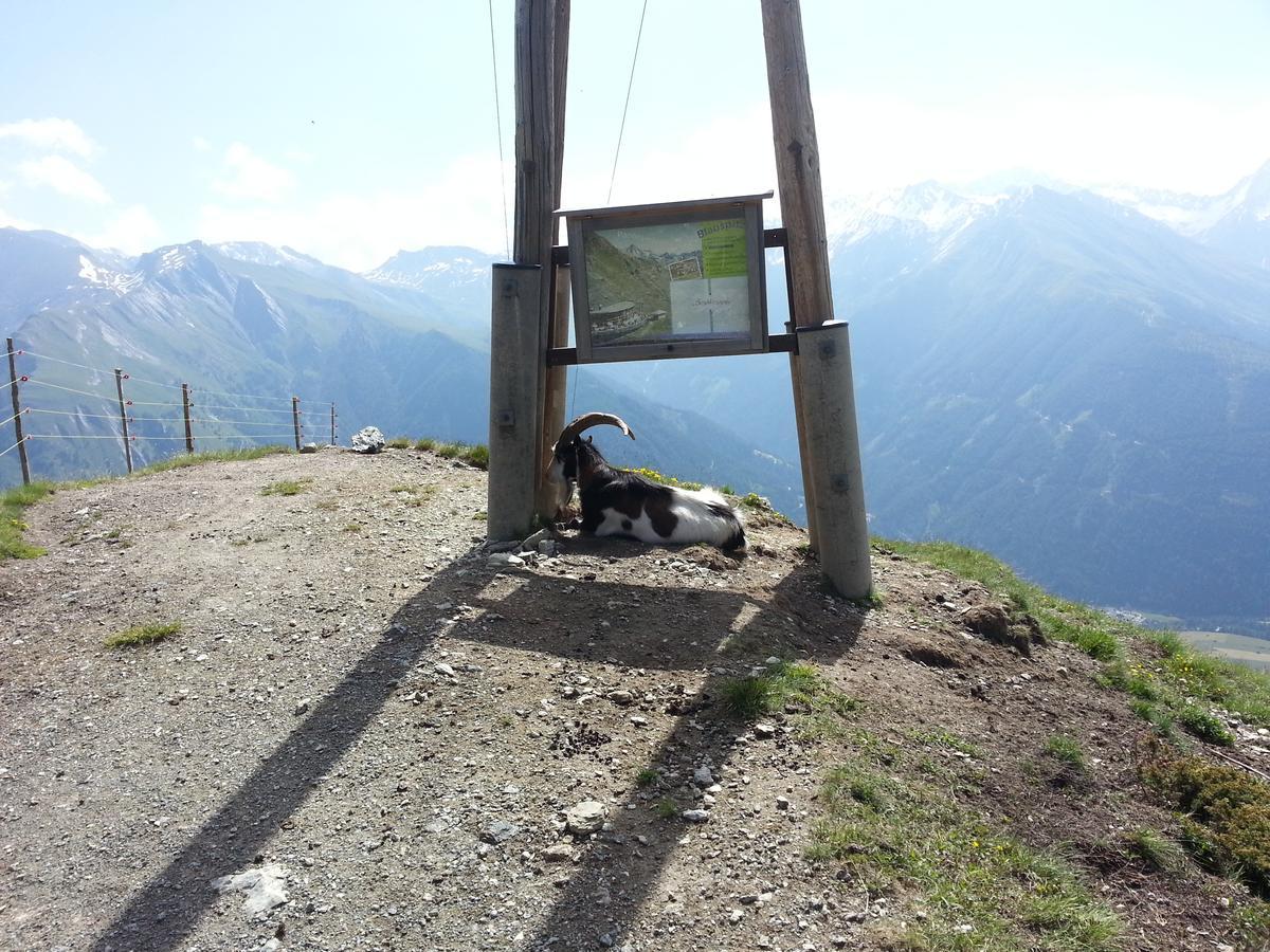 Haus Ursula Apartment Kals am Grossglockner Exterior photo